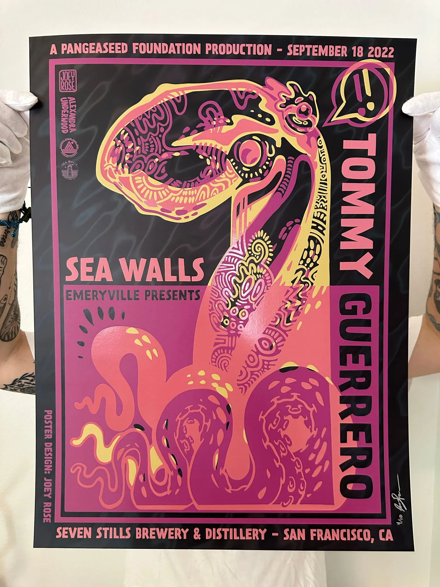 Cephalopodic Melodies