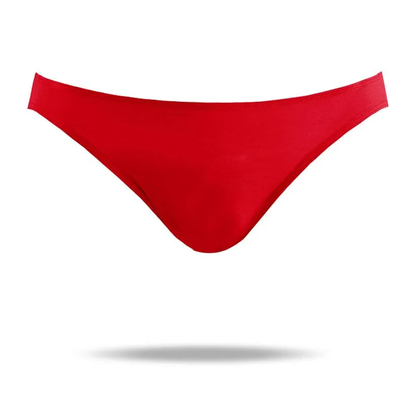 Micro Modal Low Rise Brief