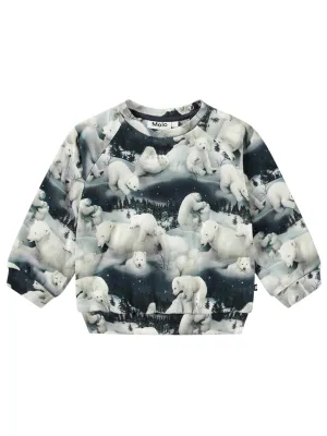 Molo Baby boy's sweatshirt Disc Polar Bears