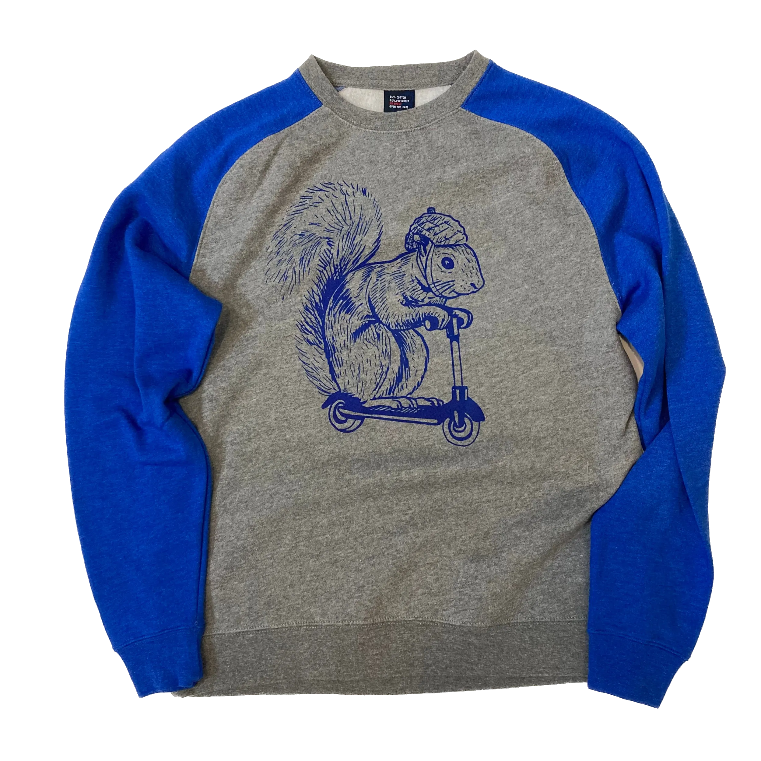 Squirrel on a Bird Sweatshirt